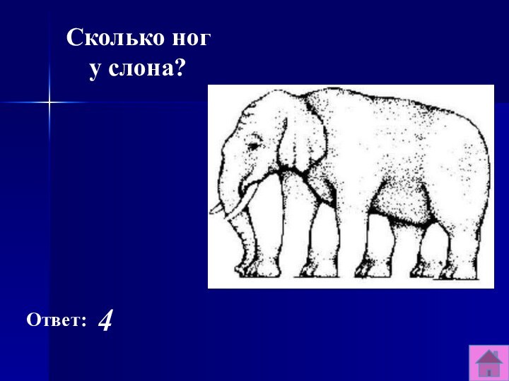Ответ:4Сколько ног у слона?