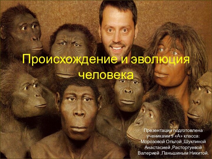 Происхождение и эволюция человекаПрезентация подготовлена учениками 9 «А» класса: Морозовой Ольгой ,Шуклиной