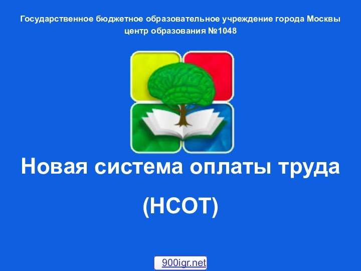 Государственное бюджетное образовательное учреждение города Москвыцентр образования №1048 Новая система оплаты труда   (НСОТ)