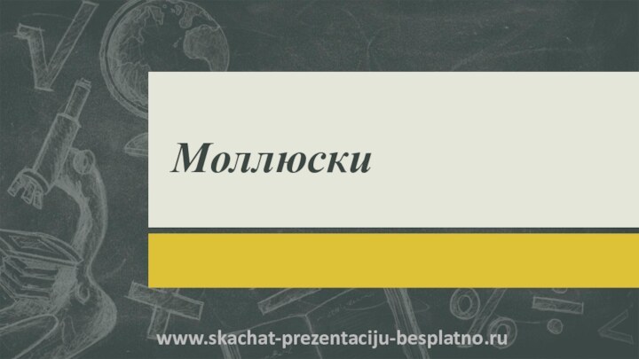 Моллюски  www.skachat-prezentaciju-besplatno.ru