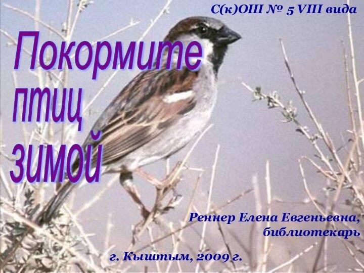 С(к)ОШ № 5 VIII видаПокормите  птицзимойг. Кыштым, 2009 г.Реннер Елена Евгеньевна, библиотекарь