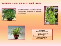 Растения - санитары воздушной среды