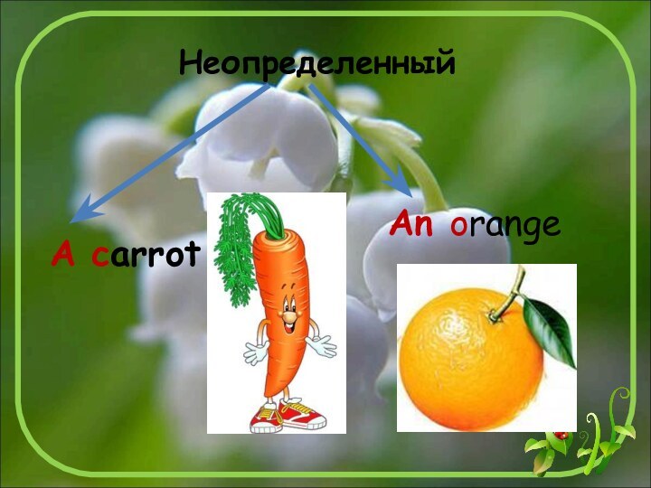 An orangeНеопределенныйA carrot
