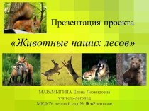 Марамыгина Е.Л. Животные наших лесов