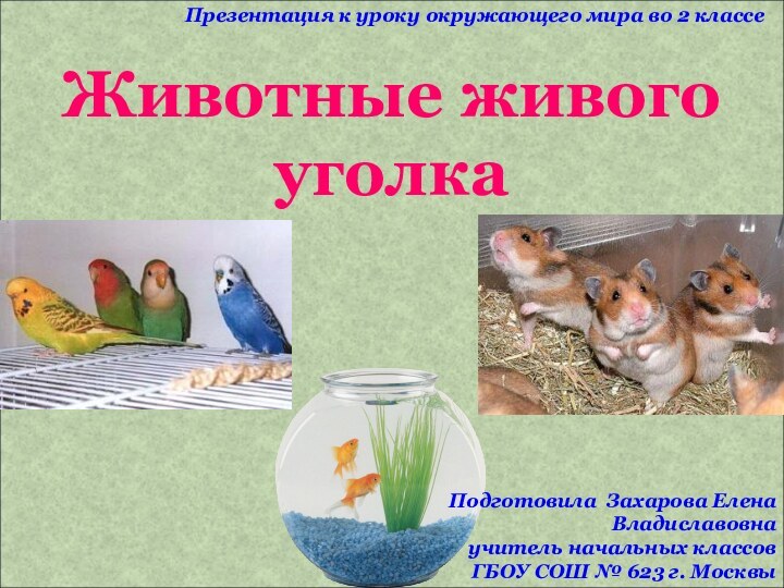 Животные живого уголкаПрезентация к уроку окружающего мира во 2 классеПодготовила Захарова Елена