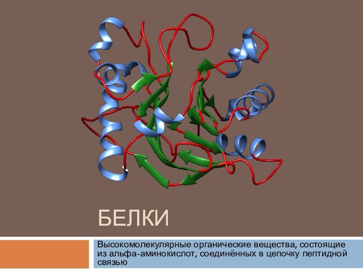 БЕЛКИВысокомолекулярные органические вещества, состоящие из альфа-аминокислот, соединённых в цепочку пептидной связью