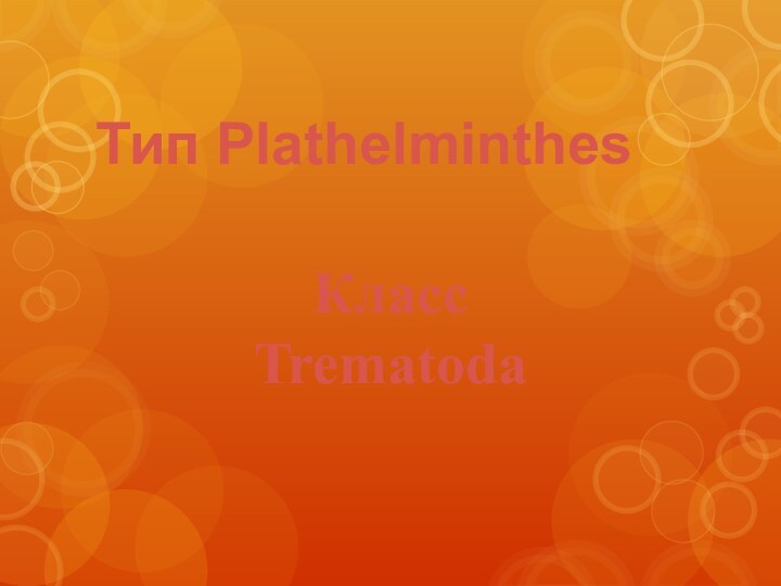Тип PlathelminthesКласс Trematoda