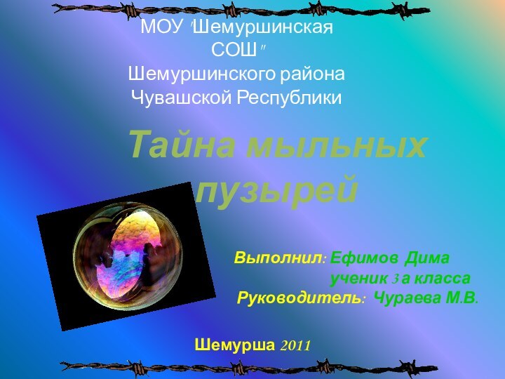 Выполнил: Ефимов Дима