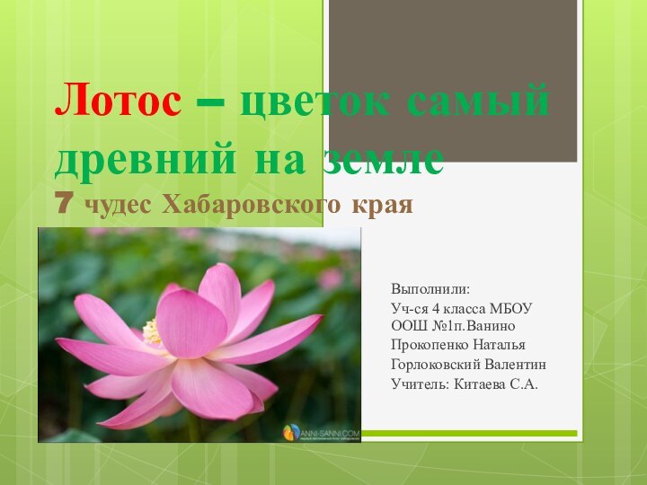 Лотос – цветок самый древний на земле 7 чудес Хабаровского краяВыполнили:Уч-ся 4