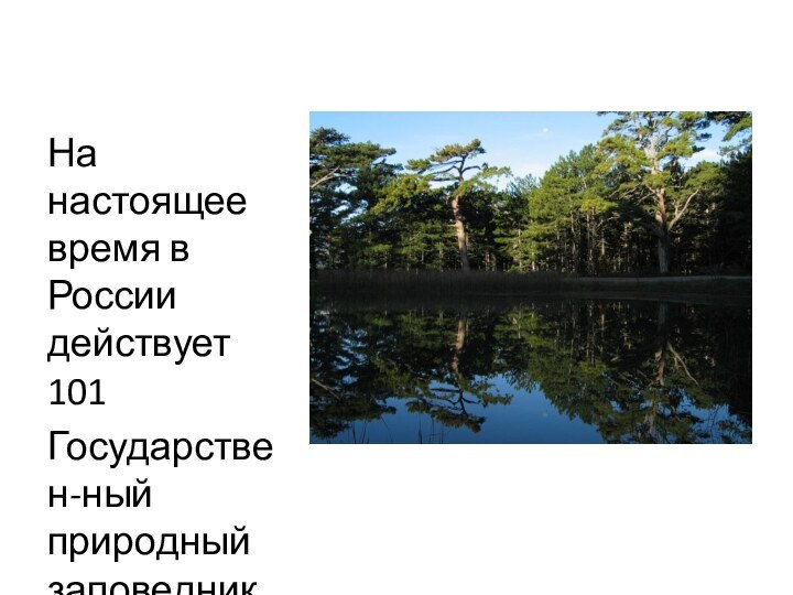 На настоящее  время в России действует 101Государствен-ный природный заповедник 