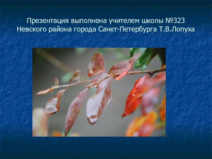 Презентация выполнена учителем школы №323 Невского района города Санкт-Петербурга Т.В.Лопуха