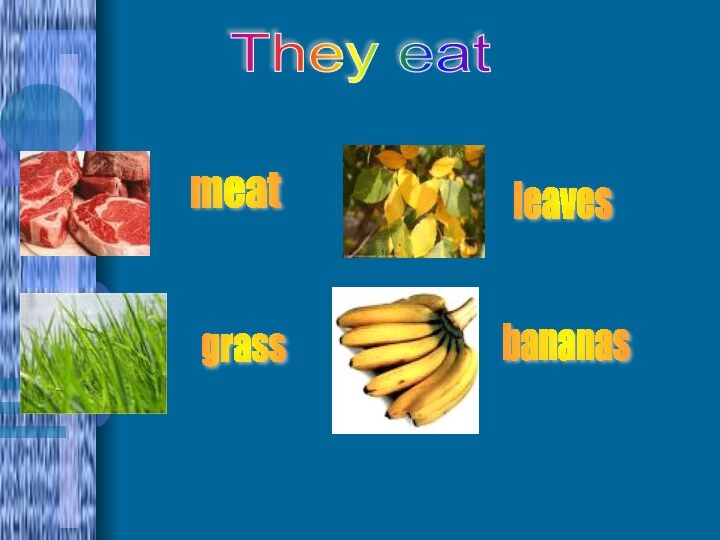 meat grass leaves bananas They eat