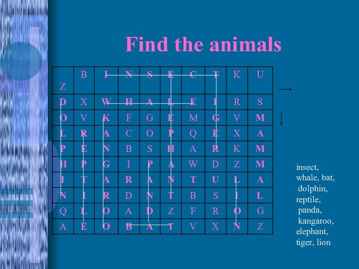 Find the animals 			insect, whale, bat, dolphin, reptile, panda, kangaroo, elephant, tiger, lion
