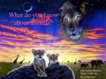 What do you know about animals