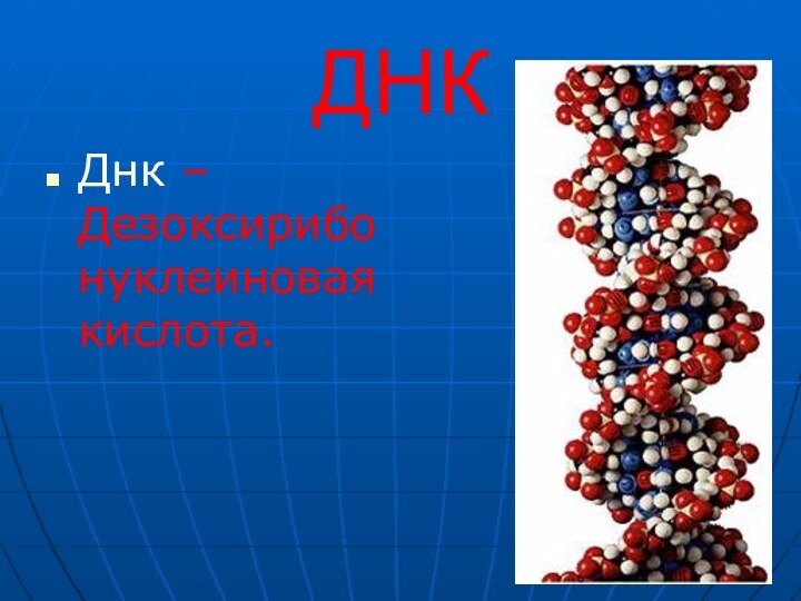 ДНКДнк – Дезоксирибонуклеиновая кислота.