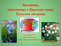 Презентация Лилейные, занесенные в Красную книгу Тульской области