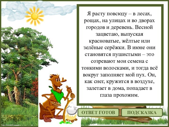 http://linda6035.ucoz.ru/Я расту повсюду – в лесах, рощах, на улицах и во дворах