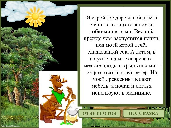 http://linda6035.ucoz.ru/Я стройное дерево с белым в чёрных пятнах стволом и гибкими