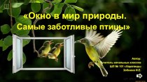 Презентация по теме Окно в мир природы. Самые заботливые  птицы