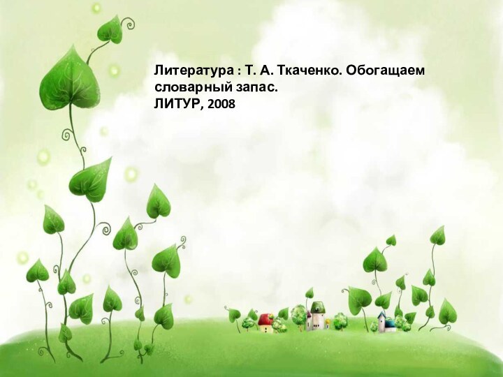 Литература : Т. А. Ткаченко. Обогащаем словарный запас. ЛИТУР, 2008