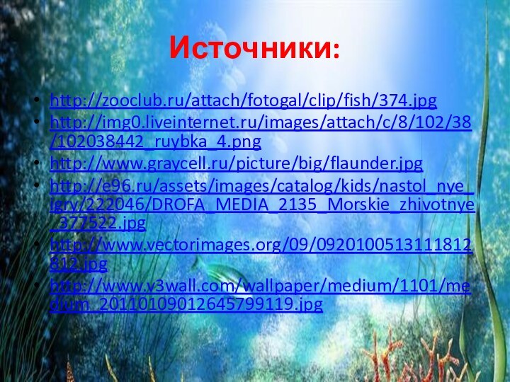 Источники:http://zooclub.ru/attach/fotogal/clip/fish/374.jpghttp://img0.liveinternet.ru/images/attach/c/8/102/38/102038442_ruybka_4.pnghttp://www.graycell.ru/picture/big/flaunder.jpghttp://e96.ru/assets/images/catalog/kids/nastol_nye_igry/222046/DROFA_MEDIA_2135_Morskie_zhivotnye_377522.jpghttp://www.vectorimages.org/09/0920100513111812812.jpghttp://www.v3wall.com/wallpaper/medium/1101/medium_20110109012645799119.jpg