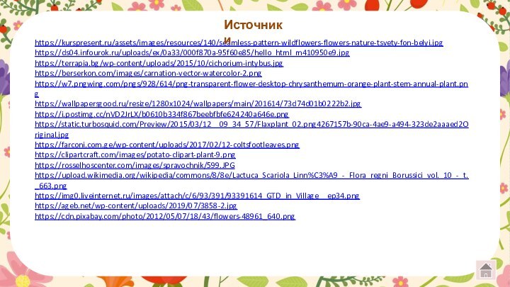 https://kurspresent.ru/assets/images/resources/140/seamless-pattern-wildflowers-flowers-nature-tsvety-fon-belyi.jpghttps://ds04.infourok.ru/uploads/ex/0a33/000f870a-95f60e85/hello_html_m410950e9.jpghttps://terrapia.bg/wp-content/uploads/2015/10/cichorium-intybus.jpg https://berserkon.com/images/carnation-vector-watercolor-2.png https://w7.pngwing.com/pngs/928/614/png-transparent-flower-desktop-chrysanthemum-orange-plant-stem-annual-plant.png https://wallpapersgood.ru/resize/1280x1024/wallpapers/main/201614/73d74d01b0222b2.jpghttps://i.postimg.cc/nVD2JrLX/b0610b334f867beebfbfe624240a646e.png https://static.turbosquid.com/Preview/2015/03/12__09_34_57/Flaxplant_02.png4267157b-90ca-4ae9-a494-323de2aaaed2Original.jpg https://farconi.com.ge/wp-content/uploads/2017/02/12-coltsfootleaves.pnghttps://clipartcraft.com/images/potato-clipart-plant-9.png https://rosselhoscenter.com/images/spravochnik/599.JPG https://upload.wikimedia.org/wikipedia/commons/8/8e/Lactuca_Scariola_Linn%C3%A9_-_Flora_regni_Borussici_vol._10_-_t._663.png https://img0.liveinternet.ru/images/attach/c/6/93/391/93391614_GTD_in_Village__ep34.pnghttps://ageb.net/wp-content/uploads/2019/07/3858-2.jpghttps://cdn.pixabay.com/photo/2012/05/07/18/43/flowers-48961_640.png  Источники