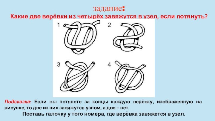 задание: Какие две верёвки из четырёх завяжутся в узел, если потянуть? Подсказка: Если вы
