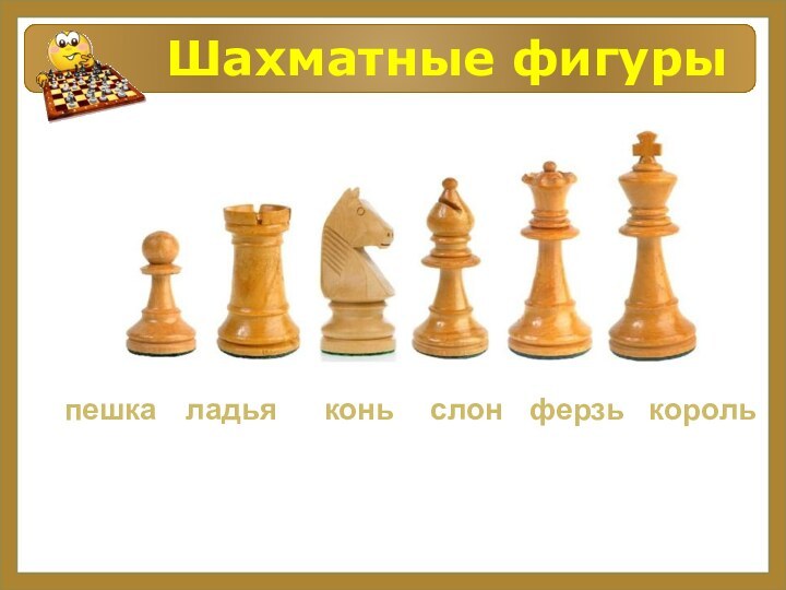 Шахматные фигурыпешкаладьяконьслонферзькороль