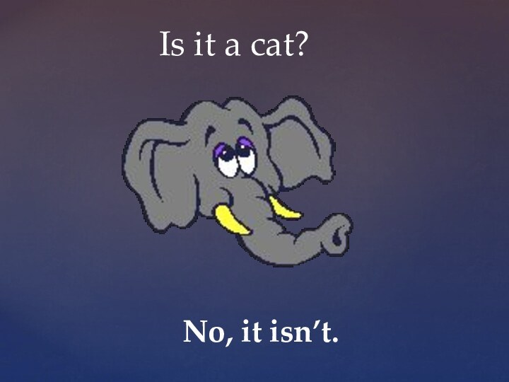 Is it a cat?No, it isn’t.