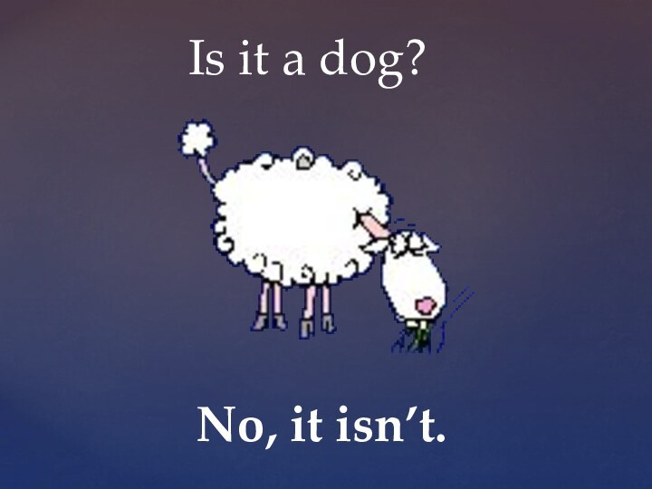 Is it a dog?No, it isn’t.