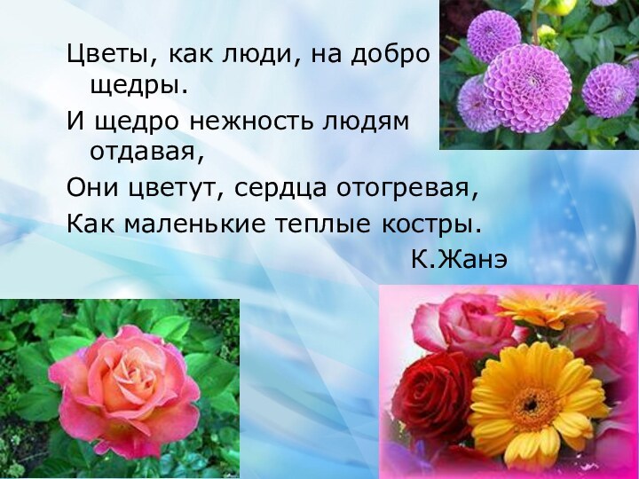Цветы, как люди, на добро щедры.И щедро нежность людям отдавая,Они цветут, сердца отогревая,Как маленькие теплые костры.К.Жанэ