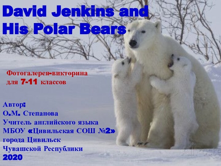 David Jenkins and His Polar BearsАвтор:О.М. СтепановаУчитель английского языка  МБОУ «Цивильская