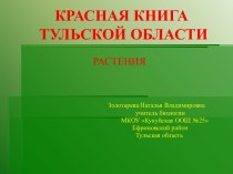 Презентация по теме Красная книга Тульской области. Растения
