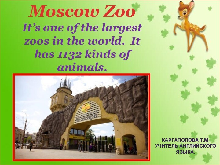 Moscow ZooIt’s one of the largest zoos in the world. It has