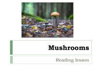 Mushrooms (Reading lesson)