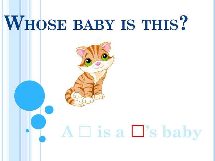 Whose baby is this?A □ is a □’s baby