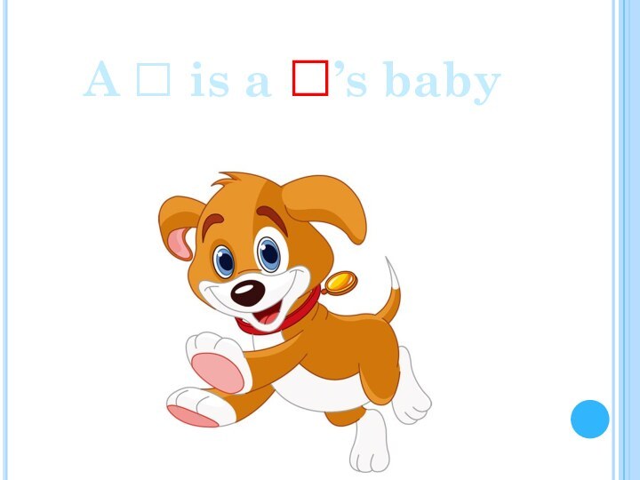 A □ is a □’s baby