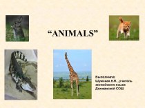 План-конспект урока английского языка в 4 классе по теме Животные