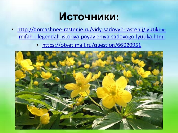Источники:http://domashnee-rastenie.ru/vidy-sadovyh-rastenij/lyutiki-v-mifah-i-legendah-istoriya-poyavleniya-sadovogo-lyutika.htmlhttps://otvet.mail.ru/question/66020951