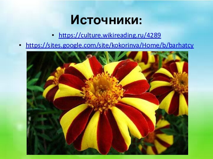Источники:https://culture.wikireading.ru/4289https://sites.google.com/site/kokorinva/Home/b/barhatcy