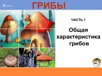 Презентация по теме Общая характеристика грибов