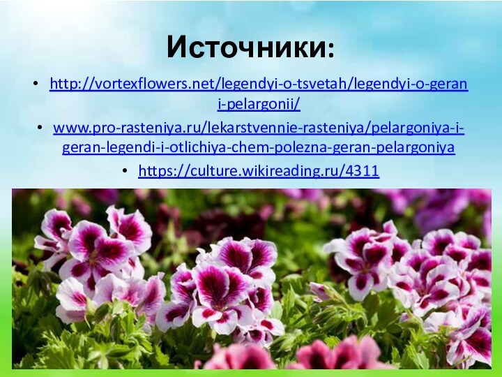 Источники:http://vortexflowers.net/legendyi-o-tsvetah/legendyi-o-gerani-pelargonii/www.pro-rasteniya.ru/lekarstvennie-rasteniya/pelargoniya-i-geran-legendi-i-otlichiya-chem-polezna-geran-pelargoniyahttps://culture.wikireading.ru/4311
