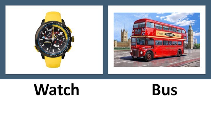 Watch         Bus