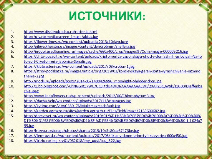 ИСТОЧНИКИ:http://www.dishisvobodno.ru/rastenia.htmlhttp://utv.ru/media/screen_image/aktus.jpghttps://flowertimes.ru/wp-content/uploads/2013/10/lavr.jpeghttp://gileya.kherson.ua/images/content/dendrobium/sheflera.jpghttp://indoor.usadbaonline.ru/images/cache/660x400/crop/images%7Ccms-image-000005216.jpghttps://chto-posadit.ru/wp-content/uploads/Kriptomeriya-yaponskaya-uhod-v-domashnih-usloviyah-Na-foto-sort-Cryptomeria-japonica-Spiralis.jpghttps://klubrasteniy.ru/wp-content/uploads/2017/03/croton-1.jpghttps://stroy-podskazka.ru/images/article/orig/2019/03/korolevskaya-geran-sorta-vyrashchivanie-razmnozhenie-2.jpghttp://modli.ru/uploads/posts/2014-05/1400426996_moonlight-philodendron.jpghttp://1.bp.blogspot.com/-0hN6GIR17WU/UQFitdU4WOI/AAAAAAAACWI/2XARZ3QAV9k/s1600/Dieffenbachia.jpeghttp://www.keepflowers.ru/wp-content/uploads/2012/06/Chlorophytum3.jpghttps://dacha.help/wp-content/uploads/2017/11/asparagus.jpghttps://i.ytimg.com/vi/wC389_7MMuk/maxresdefault.jpghttps://garden.agrogro.ru/sites/garden.agrogro.ru/files/field/image/2135600682.jpghttp://domvcvet.ru/wp-content/uploads/2019/01/%D1%83%D0%B7%D0%B0%D0%BC%D0%B1%D0%B0%D1%80%D1%81%D0%BA%D0%B0%D1%8F-%D1%84%D0%B8%D0%B0%D0%BB%D0%BA%D0%B0-1-1024x799.jpghttp://hozvo.ru/storage/photos/shares/2019/10/5c80da67473be.jpghttps://fermoved.ru/wp-content/uploads/2017/08/fikus-v-dome-primety-i-sueveriya-600x450.jpghttps://trizio.ru/img-srv01/062018/img_post/top_822.jpg