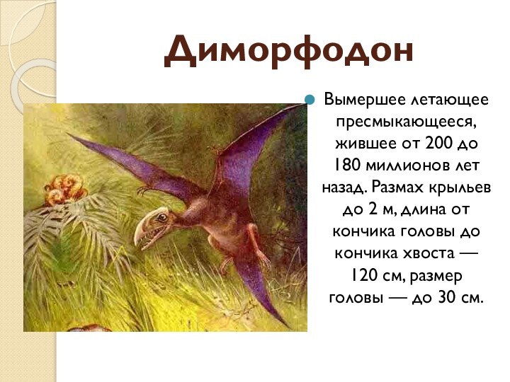 ДиморфодонВымершее летающее пресмыкающееся, жившее от 200 до 180 миллионов лет назад. Размах