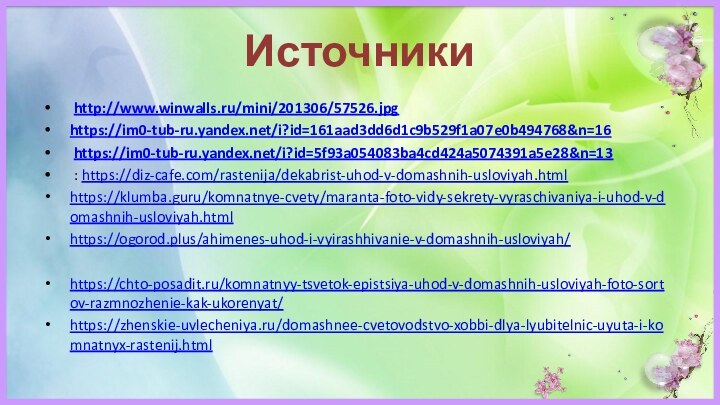 Источники http://www.winwalls.ru/mini/201306/57526.jpghttps://im0-tub-ru.yandex.net/i?id=161aad3dd6d1c9b529f1a07e0b494768&n=16 https://im0-tub-ru.yandex.net/i?id=5f93a054083ba4cd424a5074391a5e28&n=13 : https://diz-cafe.com/rastenija/dekabrist-uhod-v-domashnih-usloviyah.htmlhttps://klumba.guru/komnatnye-cvety/maranta-foto-vidy-sekrety-vyraschivaniya-i-uhod-v-domashnih-usloviyah.htmlhttps://ogorod.plus/ahimenes-uhod-i-vyirashhivanie-v-domashnih-usloviyah/https://chto-posadit.ru/komnatnyy-tsvetok-epistsiya-uhod-v-domashnih-usloviyah-foto-sortov-razmnozhenie-kak-ukorenyat/https://zhenskie-uvlecheniya.ru/domashnee-cvetovodstvo-xobbi-dlya-lyubitelnic-uyuta-i-komnatnyx-rastenij.html