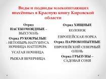 Презентация Млекопитающие внесённые в Красную книгу Кировской области