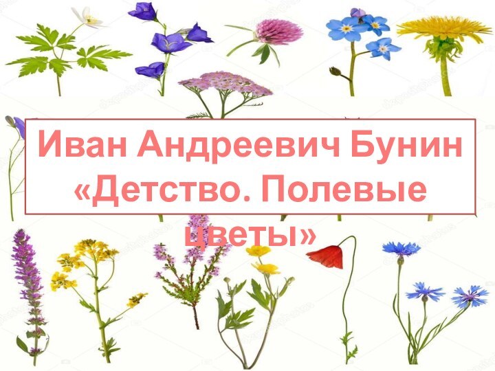 Иван Андреевич Бунин «Детство. Полевые цветы»