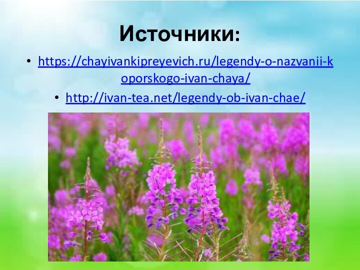 Источники:https://chayivankipreyevich.ru/legendy-o-nazvanii-koporskogo-ivan-chaya/http://ivan-tea.net/legendy-ob-ivan-chae/