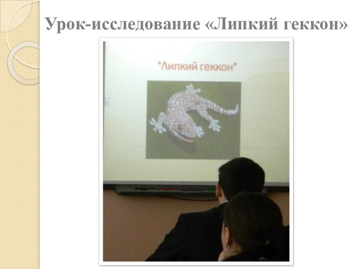 Урок-исследование «Липкий геккон»